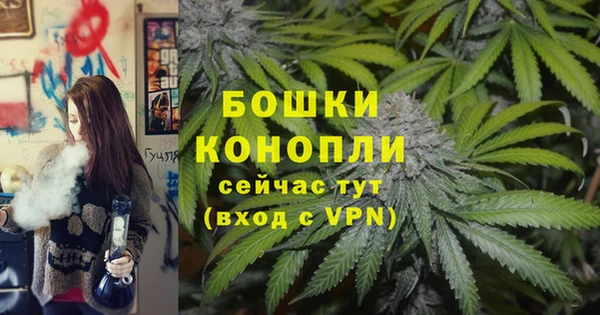 mix Ельня