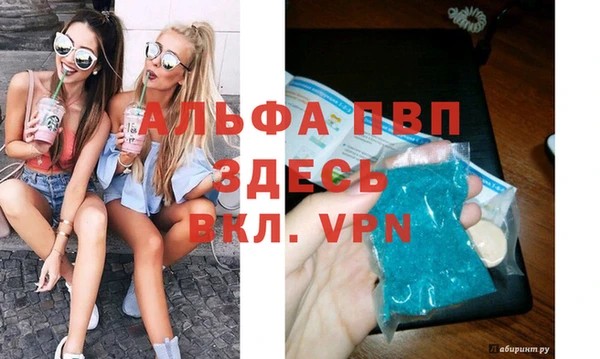 ГАЛЛЮЦИНОГЕННЫЕ ГРИБЫ Елабуга