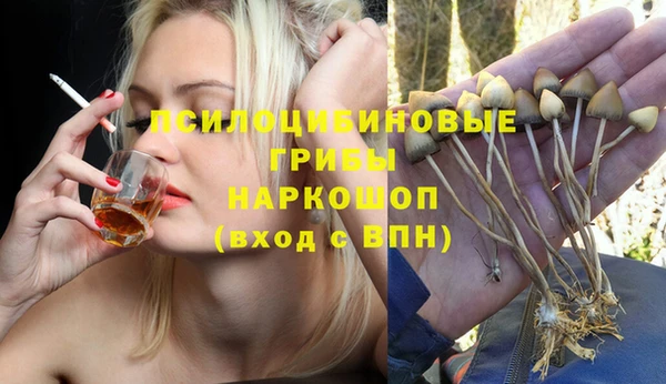 спайс Елизово