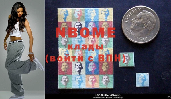 ГАЛЛЮЦИНОГЕННЫЕ ГРИБЫ Елабуга
