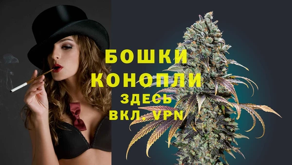 спайс Елизово