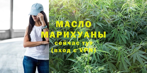 mix Ельня