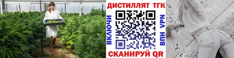 ТГК Wax  Купить  Малаховка 